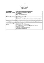 Paraugs 'Amata apraksts un prasību profils viesmīļa amatam', 2.