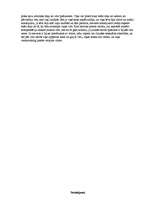 Referāts 'Sievietes statuss laulībā viduslaikos', 5.