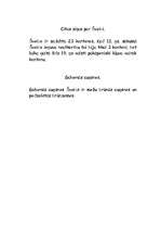 Konspekts 'Šveice', 4.