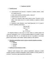 Biznesa plāns 'Kinoteātra "Cinema Art" biznesa plāns', 5.