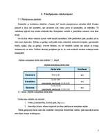 Biznesa plāns 'Kinoteātra "Cinema Art" biznesa plāns', 7.