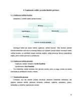 Biznesa plāns 'Kinoteātra "Cinema Art" biznesa plāns', 19.