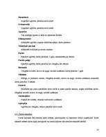 Biznesa plāns 'Kinoteātra "Cinema Art" biznesa plāns', 20.