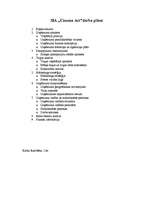 Biznesa plāns 'Kinoteātra "Cinema Art" biznesa plāns', 48.