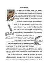 Referāts 'Kāpnes', 13.