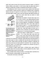 Referāts 'Kāpnes', 14.