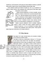 Referāts 'Kāpnes', 19.