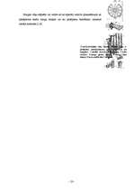 Referāts 'Kāpnes', 20.