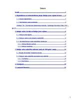 Referāts 'Baltijas valstu sadarbība satiksmes jomā pēc 2004.gada', 2.