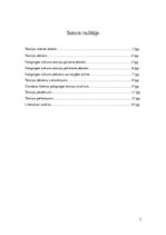 Referāts 'Dorotejas Oremas teorijas analīze', 2.