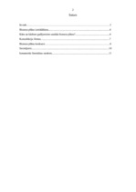 Referāts 'Biznesa plāns', 2.