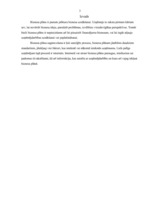 Referāts 'Biznesa plāns', 3.