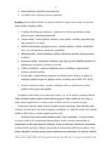 Referāts 'Biznesa plāns', 5.