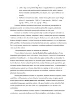 Referāts 'Biznesa plāns', 8.