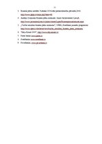 Referāts 'Biznesa plāns', 12.
