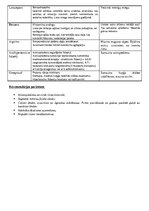 Prakses atskaite 'Aprūpes plāns geriatrijā', 5.