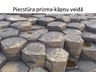 Prezentācija 'Sadzīvē sastopamās prizmas', 6.