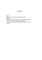 Referāts 'Matemātikas nozīme profesijas izvēlē', 3.