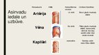 Prezentācija 'Asinsrites orgānu sistēma', 6.