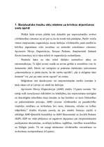 Diplomdarbs 'Starptautisko tiesību aktu nozīme sodu izpildē', 5.