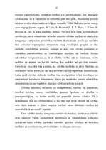 Diplomdarbs 'Starptautisko tiesību aktu nozīme sodu izpildē', 12.