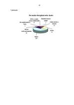 Diplomdarbs 'Starptautisko tiesību aktu nozīme sodu izpildē', 67.