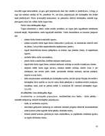 Diplomdarbs 'Darba tirgus analīze un nodarbinātības paaugstināšanas iespējas Latvijā', 20.