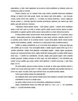 Diplomdarbs 'Darba tirgus analīze un nodarbinātības paaugstināšanas iespējas Latvijā', 51.