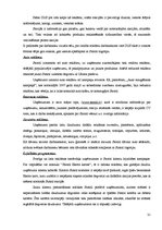 Referāts 'SIA "Latvija Statoil" noieta mārketinga analīze', 31.