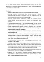 Referāts 'SIA "Latvija Statoil" noieta mārketinga analīze', 33.