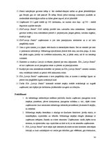 Referāts 'SIA "Latvija Statoil" noieta mārketinga analīze', 34.