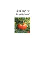Referāts 'Tomāti', 1.