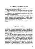 Referāts 'Tomāti', 6.