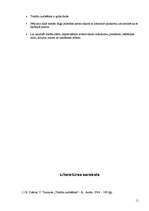 Referāts 'Tomāti', 11.