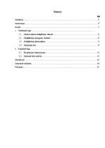 Referāts 'Smēķēšana, tās izplatība jauniešu vidū', 2.