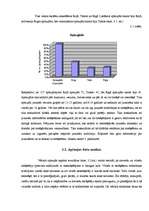 Referāts 'Smēķēšana, tās izplatība jauniešu vidū', 12.