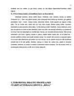 Referāts 'Aviācijas negadījumi', 8.