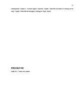 Referāts 'Aviācijas negadījumi', 29.