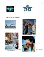 Referāts 'Aviācijas negadījumi', 31.