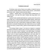 Eseja 'Verifikācija pozitīvismā', 1.