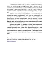 Eseja 'Verifikācija pozitīvismā', 2.