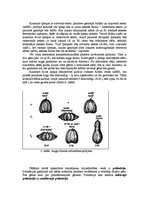 Referāts 'Starplokusu mijiedarbības veidi', 4.