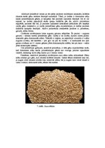 Referāts 'Starplokusu mijiedarbības veidi', 5.