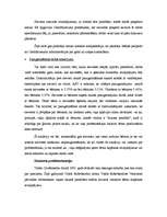 Referāts 'Dzimumu diskriminācija darba tirgū', 10.