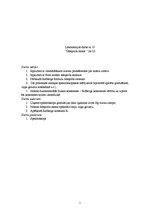 Konspekts 'Ūdeņraža atoms', 1.