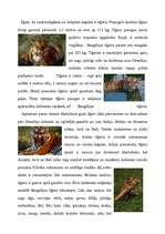 Referāts 'Tīģeri', 2.