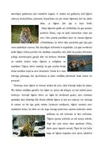 Referāts 'Tīģeri', 3.