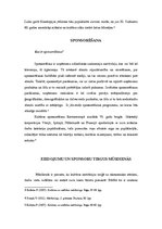 Referāts 'Fondi mākslas, kultūras un sporta atbalstam Latvijā', 5.