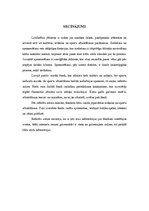 Referāts 'Fondi mākslas, kultūras un sporta atbalstam Latvijā', 16.