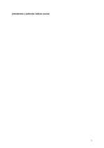 Referāts 'Latvijā pazīstama līdera analīze', 5.